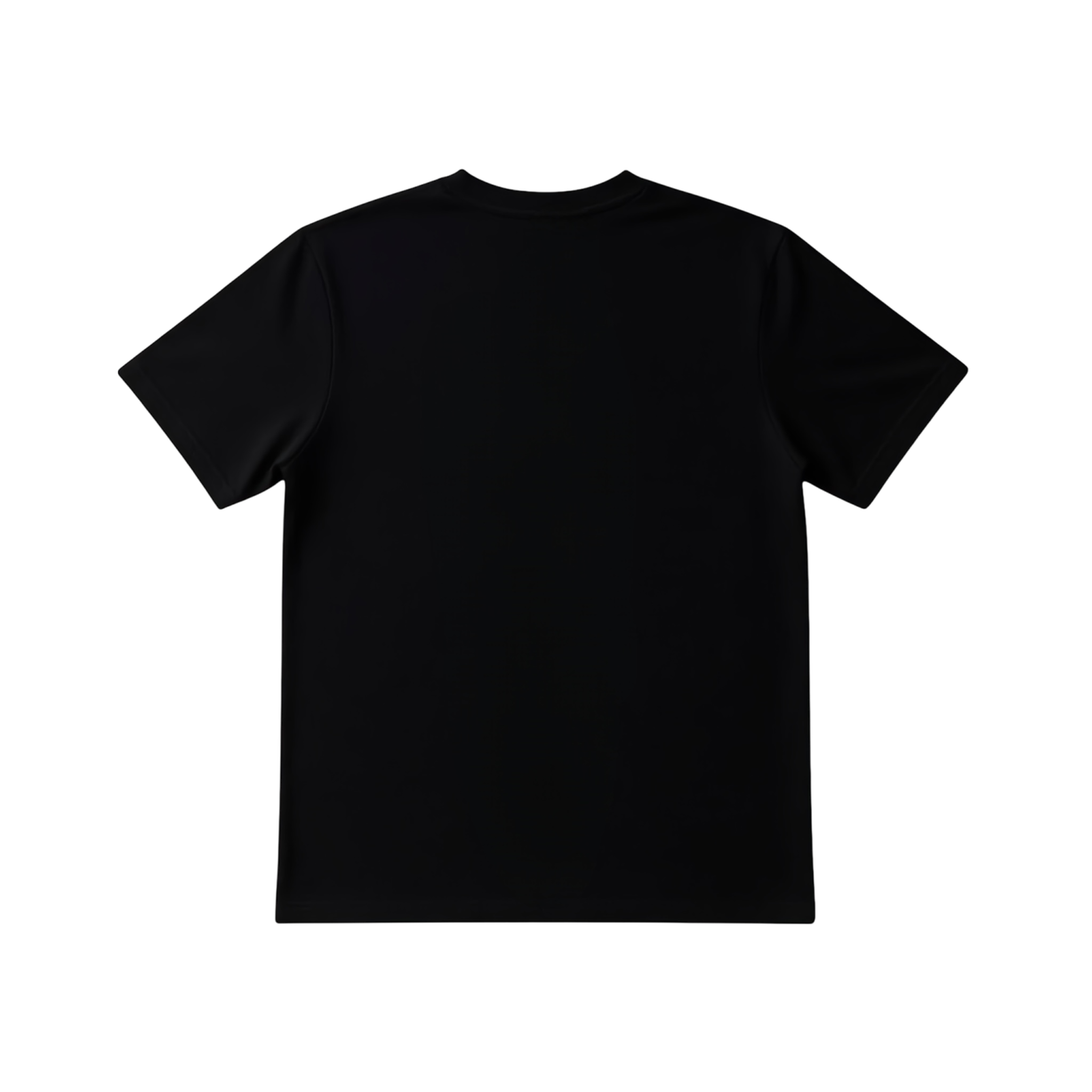T-shirt noir fenix